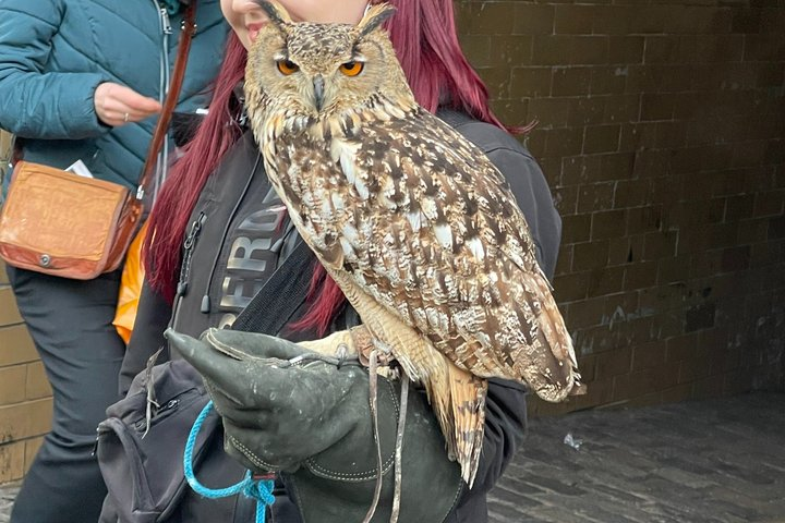 JK Rowling's Harry Potter Walking Tour in Edinburgh - Photo 1 of 12
